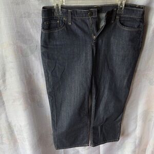 Talbots Dark Blue Ankle Jeans